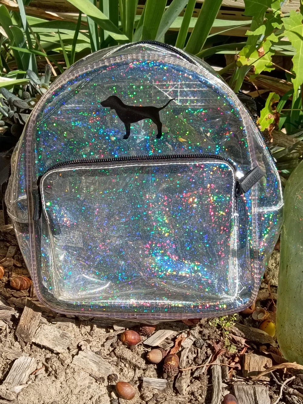 PINK Victoria's Secret Holographic Clear Backpack - Silver Sparkle
